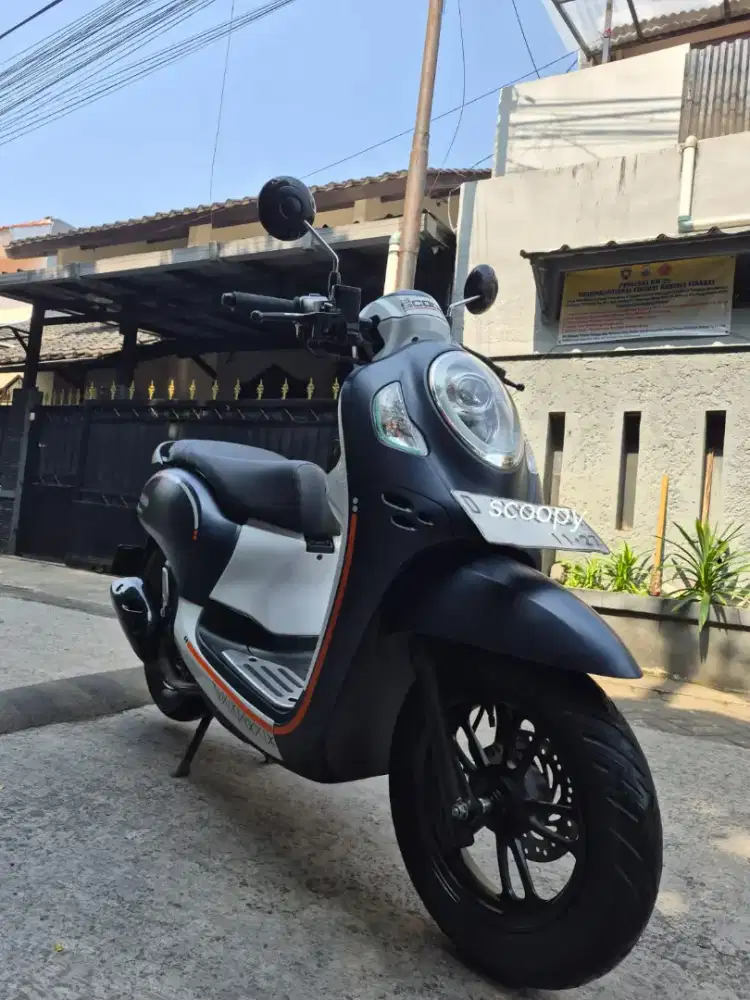 Scoopy fashion 2022