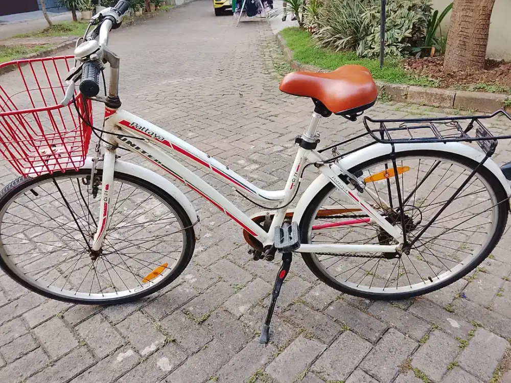 Sepeda mini keranjang dewasa
