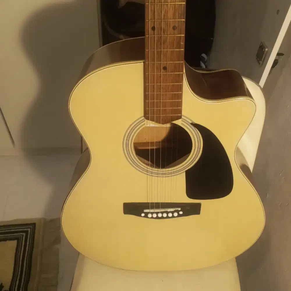 gitar F310 made Indonesia