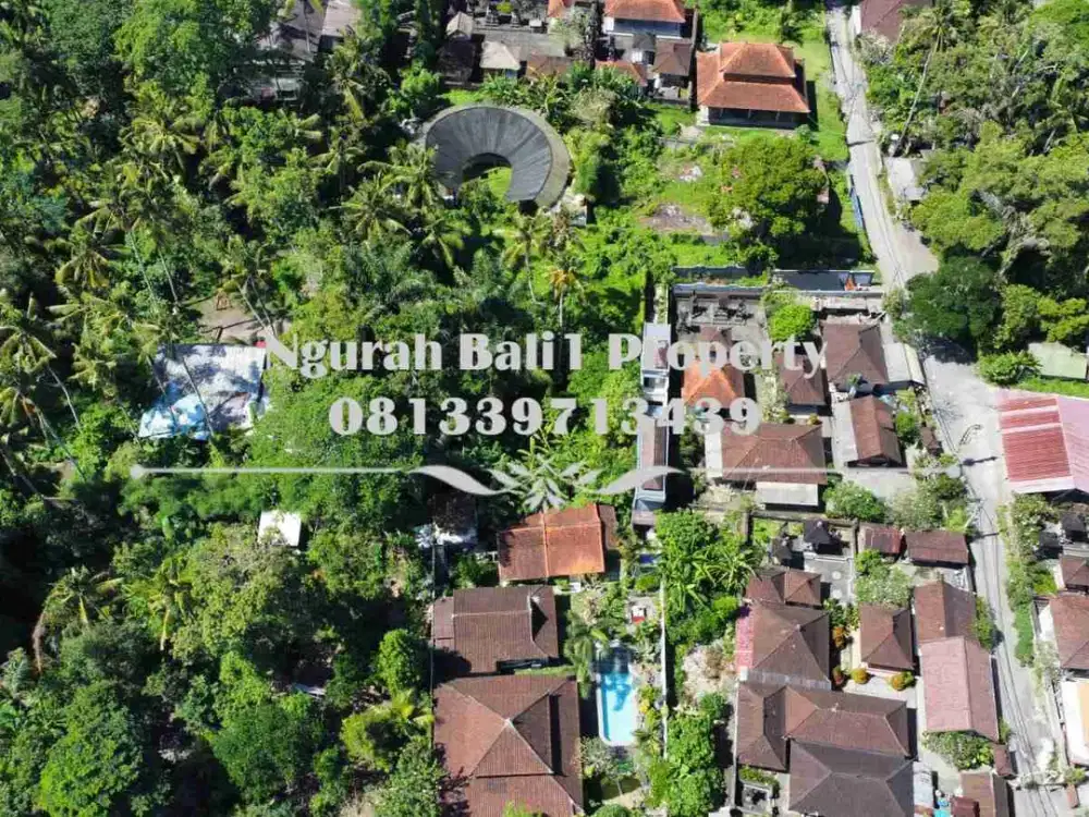 Tanah Premium Disewakan Luas 16,35 Are Kawasan Villa Lokasi Deket Pelangi School Ubud