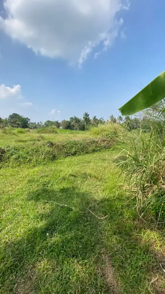 Tanah Pekarangan Kedai Mbak Pesta
