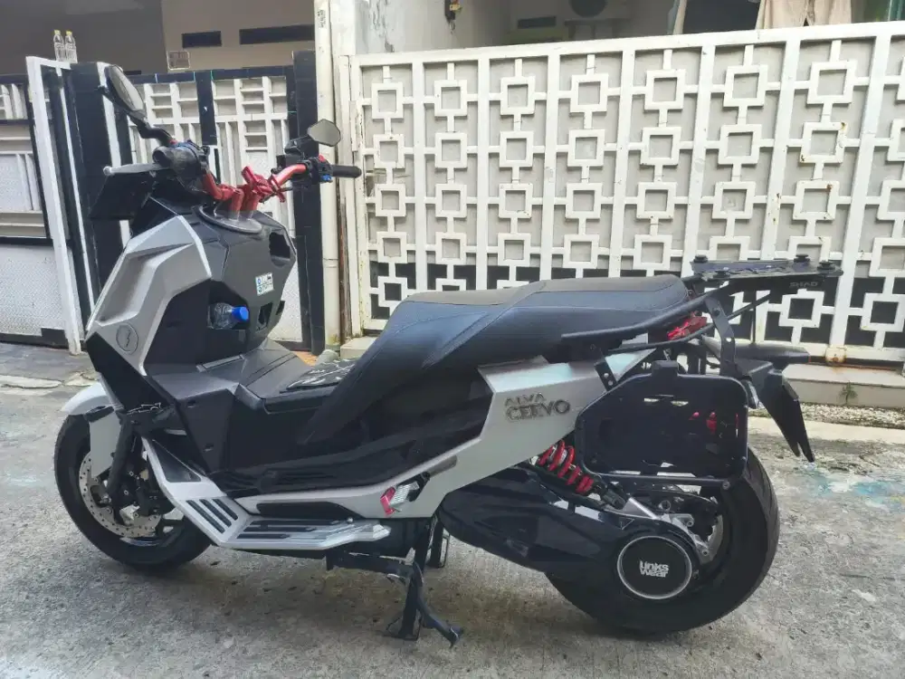 jual alva cervo 2023