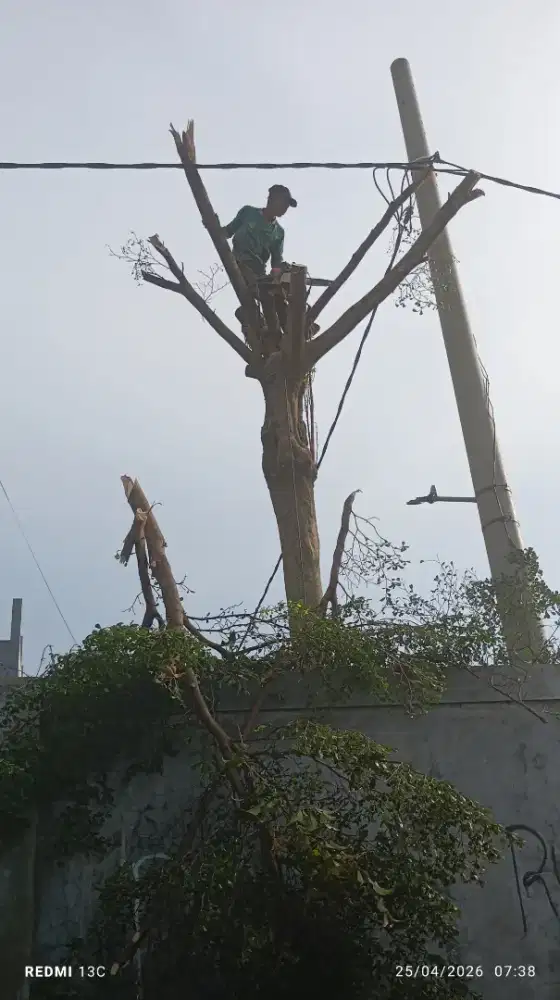 Tukang tebang dan potong rumput