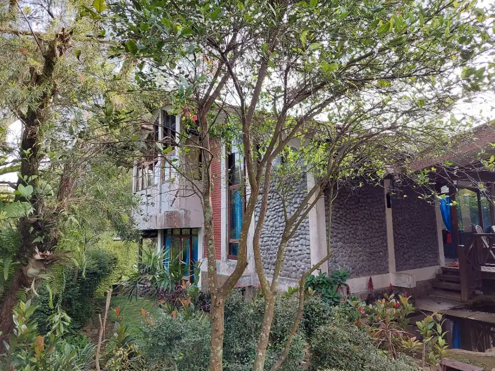 DIJUAL VILLA CIPANAS SIAP HUNI