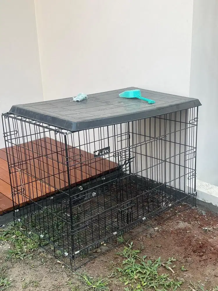 Jual Kandang Kucing Ukuran Sedang