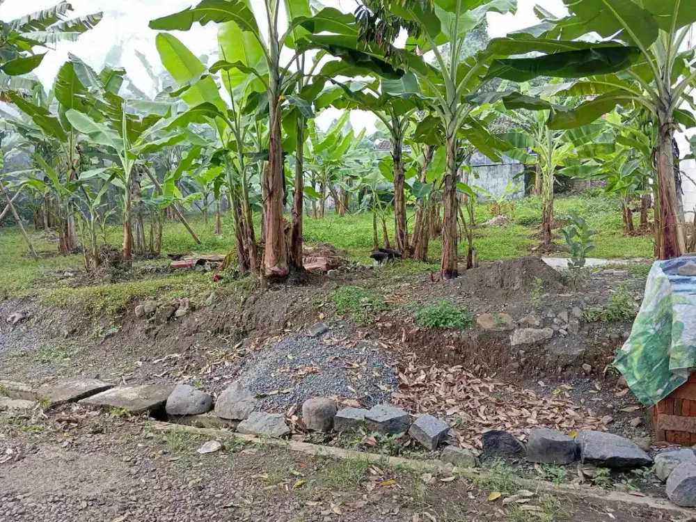 Tanah kosong perum Pasir Karanglewas Purwokerto