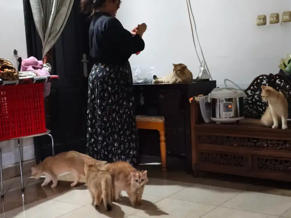 Lowongan kerja ART
