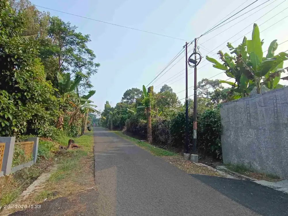 DIJUAL KEBUN PRODUKTIF HARGA MURAH – LOKASI STRATEGIS SAMPING JALAN BESAR