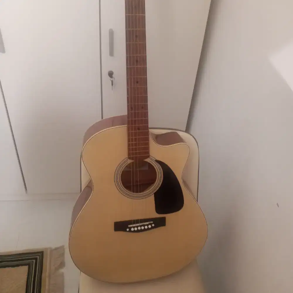 Gitar F310 Made Indonesia