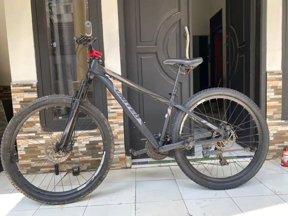 Sepeda united detroit neo200