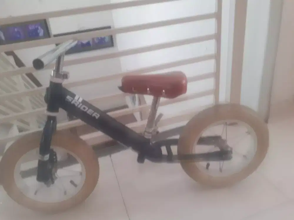 Sepeda Anak Tanpa Pedal