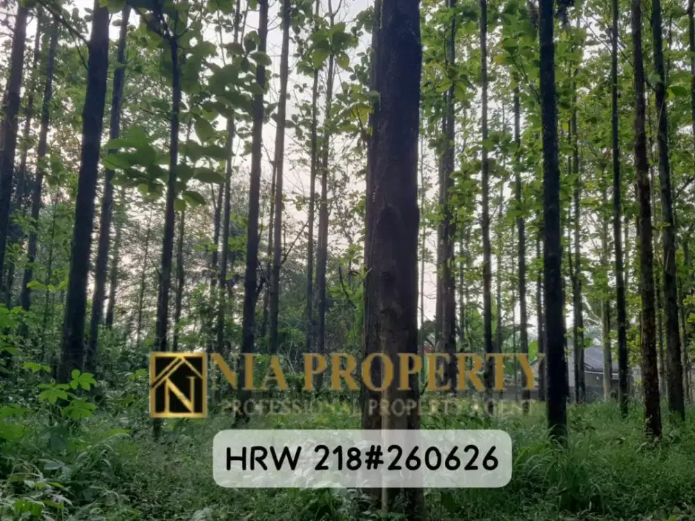 DIJUAL TANAH 5.046 m² BONUS POHON JATI DI LEUWINANGGUNG, TAPOS DEPOK BELAKANG RAFLESS HILLS