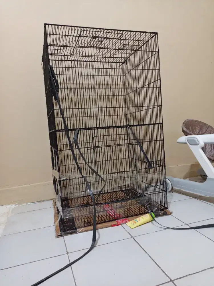 Kandang Galvanis Sun conure