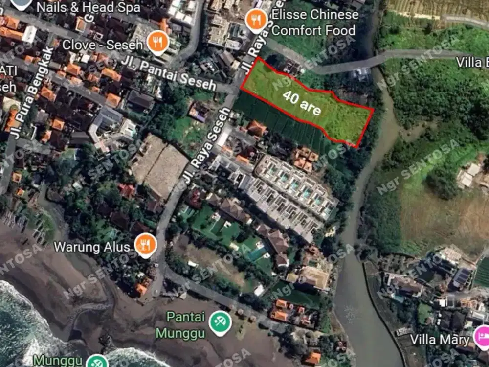 TANAH PERERENAN SESEH SUPER DEKAT PANTAI