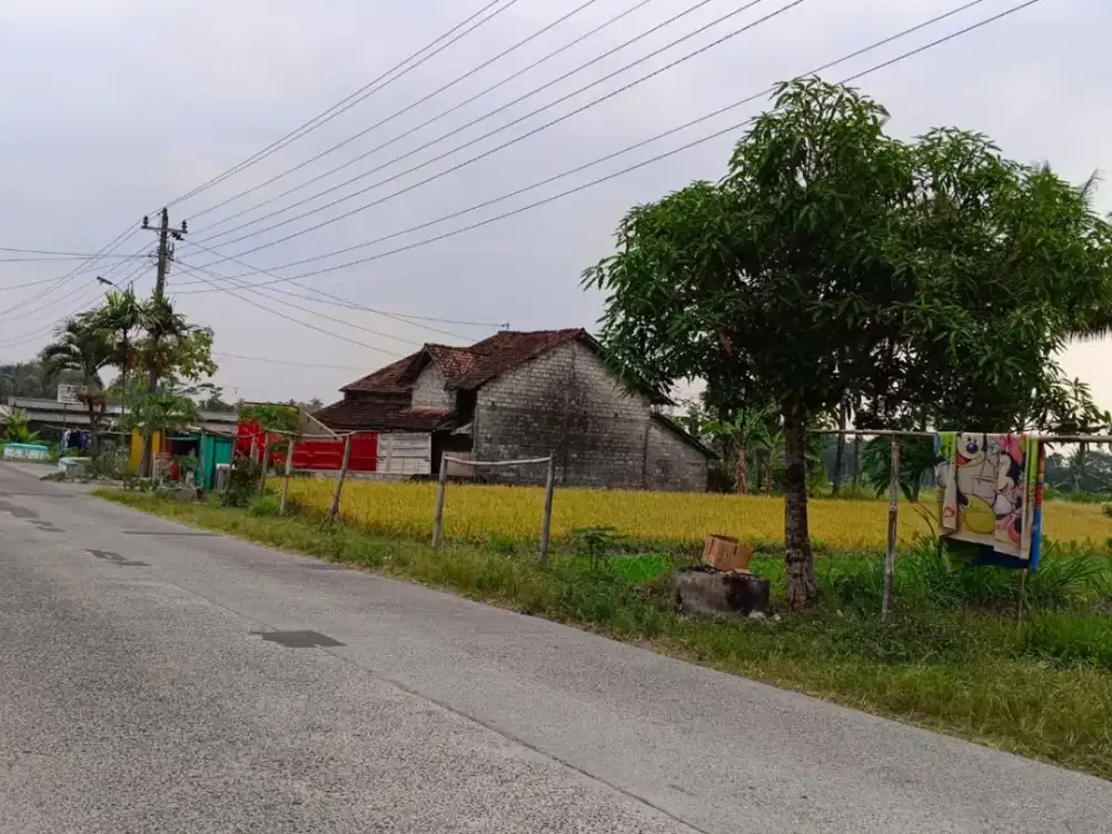 Tanah Sawah Strategis Dijual Area Manisrenggo, Klaten