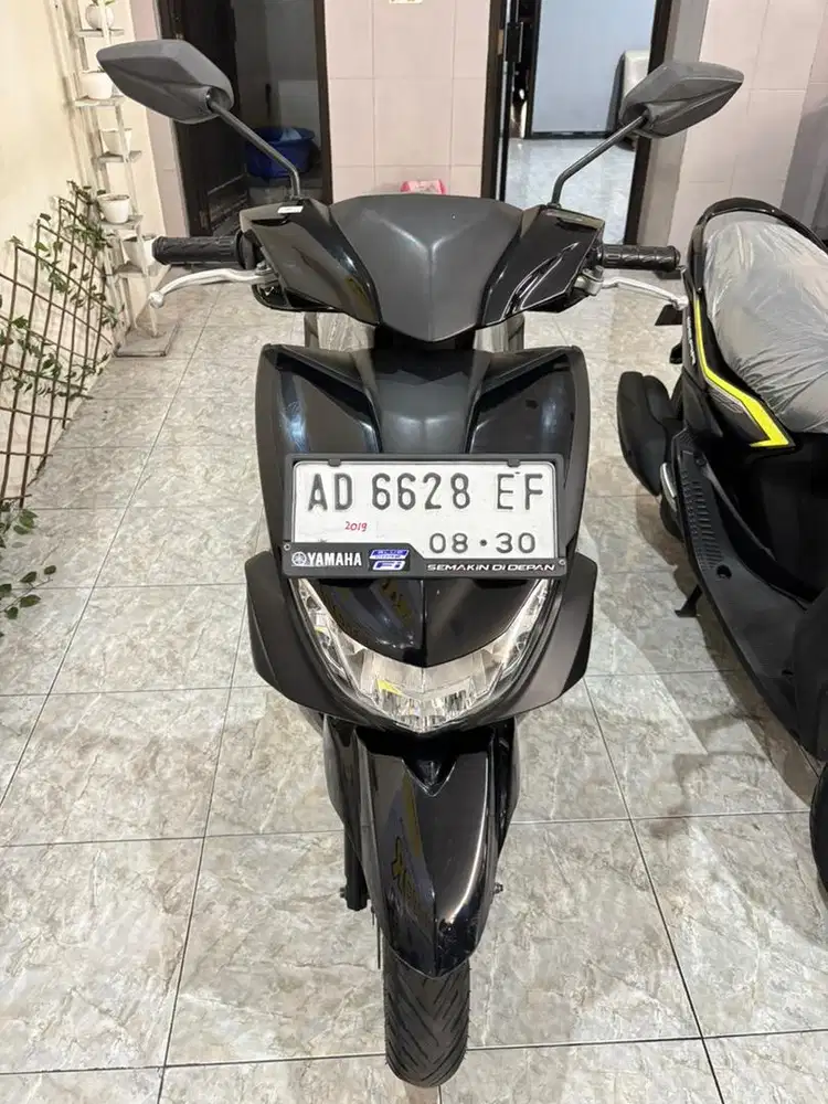 FREEGO TAHUN 2019