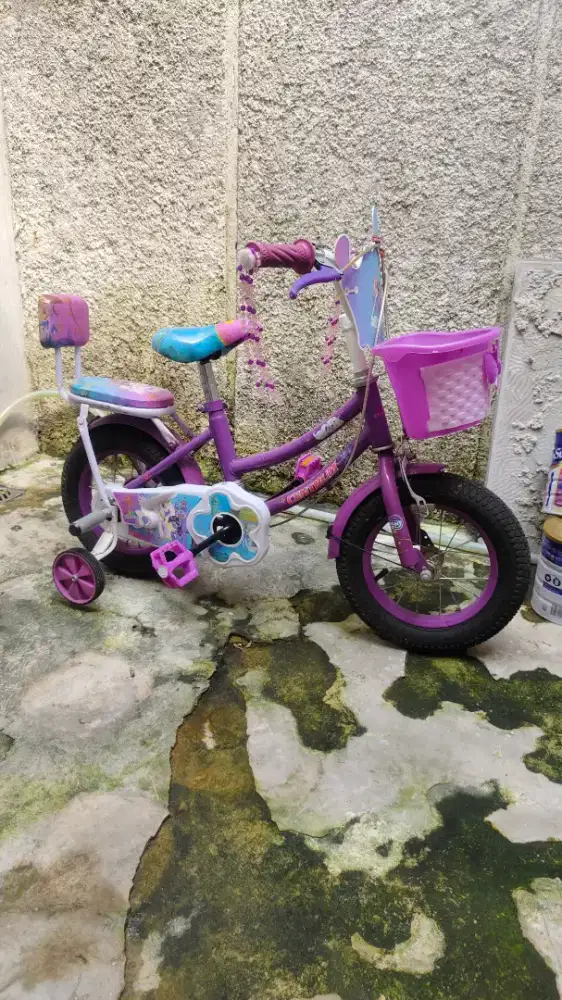 Sepeda Anak anak