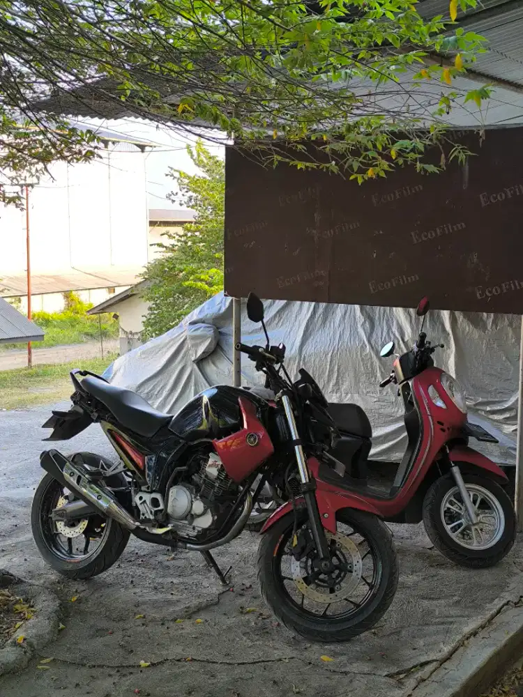 Yamaha Scorpio 2013
