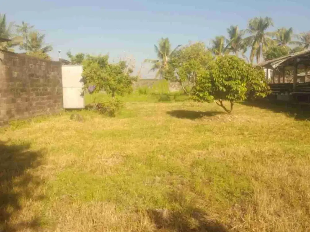 Dijual Tanah luas udah  tembok keliling MuRah