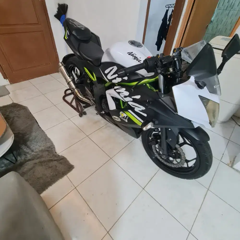Kawasaki ninja sl mono 250 2019