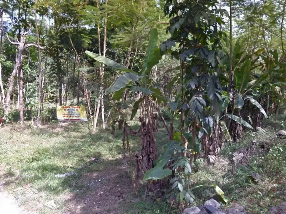 Tanah SHM 1400m2 Jl Nglanjaran Candi Jl Kaliurang Km 14, Dekat UII Terpadu, Pondok Sunan Pandanaran, Lingkungan Kost, Cocok Usaha, Cocok Kost Ekslusif