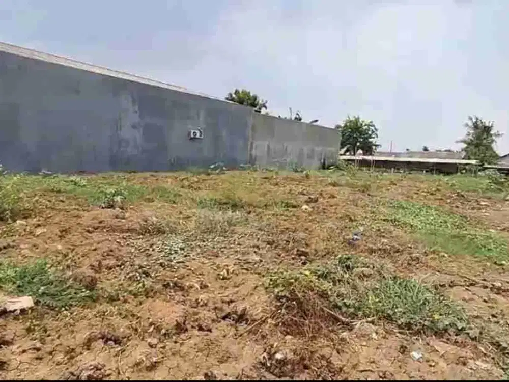 Disewakan Tanah Padat Dengan Harga Murah Di Babelan. Kabupaten Bekasi