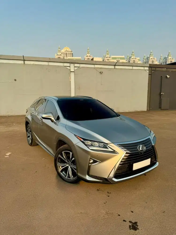 LEXUS  RX 300  2019 LUXURY AT  ABU - ABU