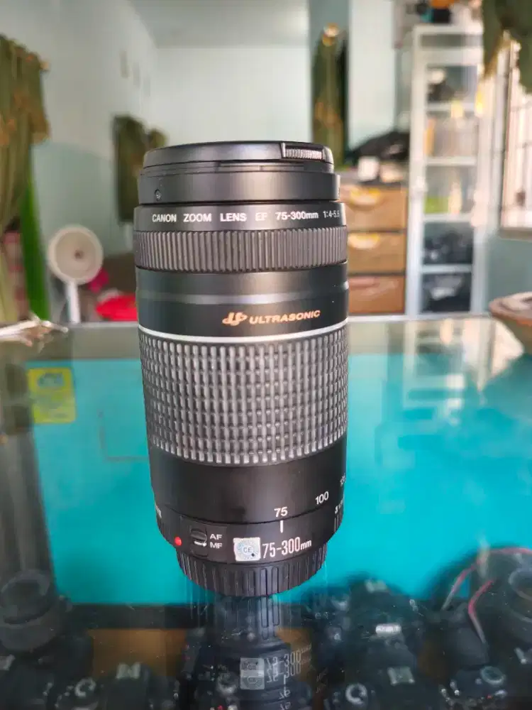 TELE CANON EF 70-300MM USM