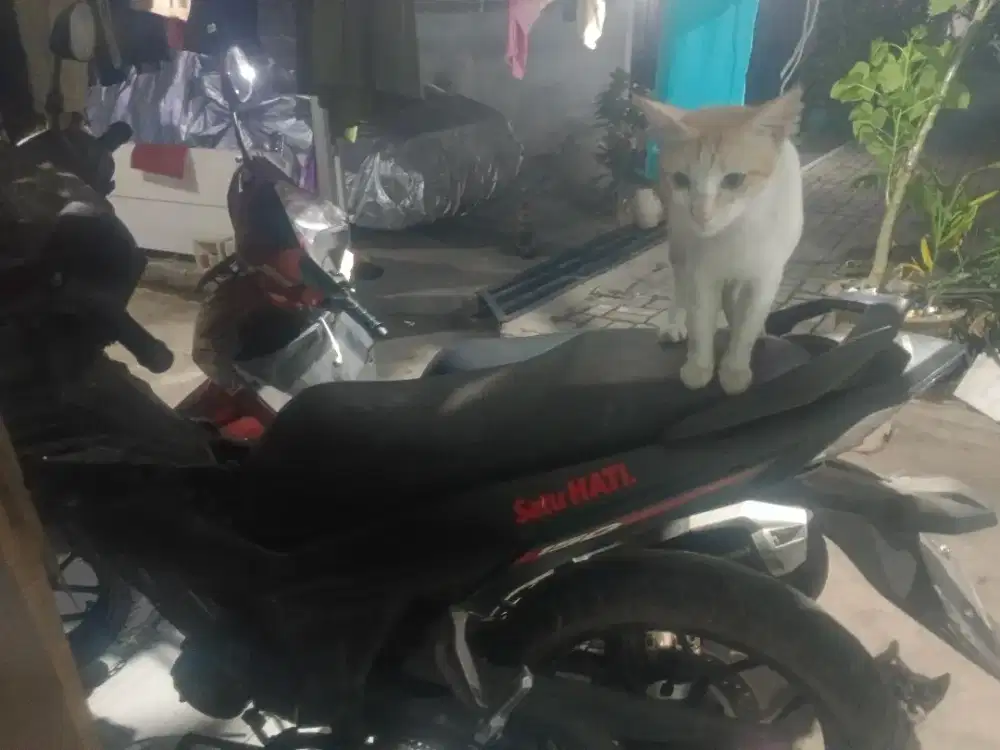 Dijual motor honda supra GT-R 150