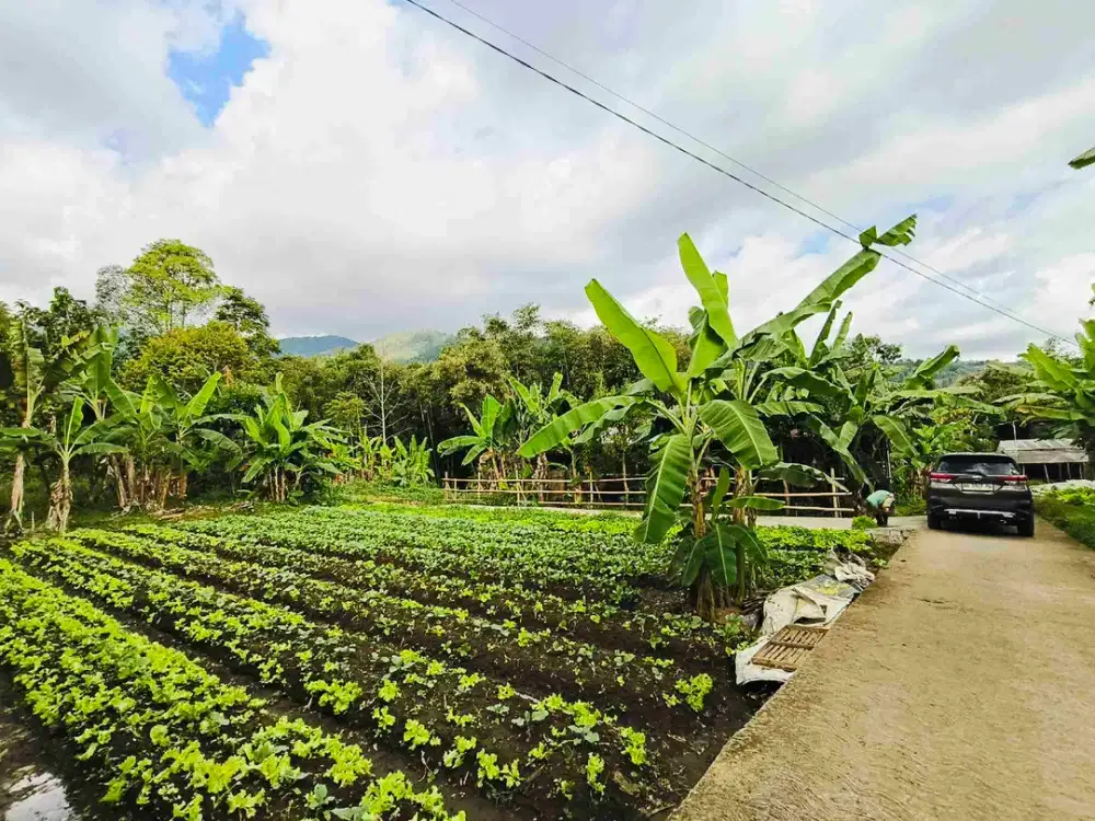 Jual tanah pekarangan murah Tawangmangu karanganyar