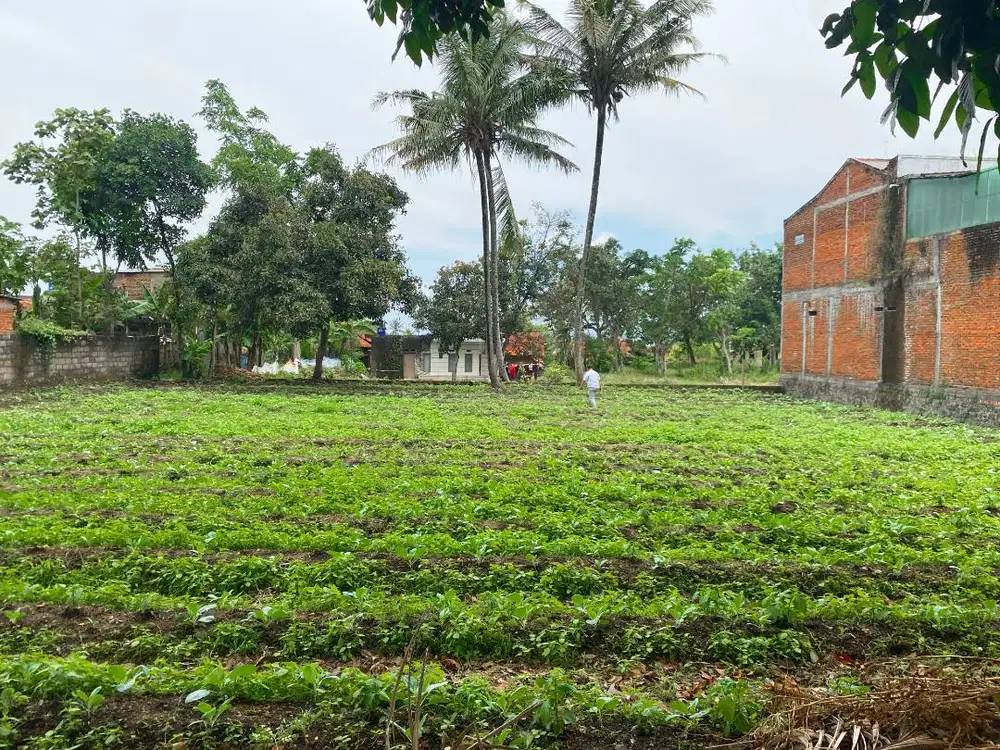 Jual Tanah Garut Cipanas Lokasi Strategis di Lokasi Pariwisata