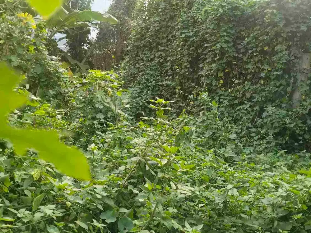 Dijual Tanah Strategis Pinggir Jalan Raya LT 2971 mtr Pekayon Bekasi Selatan