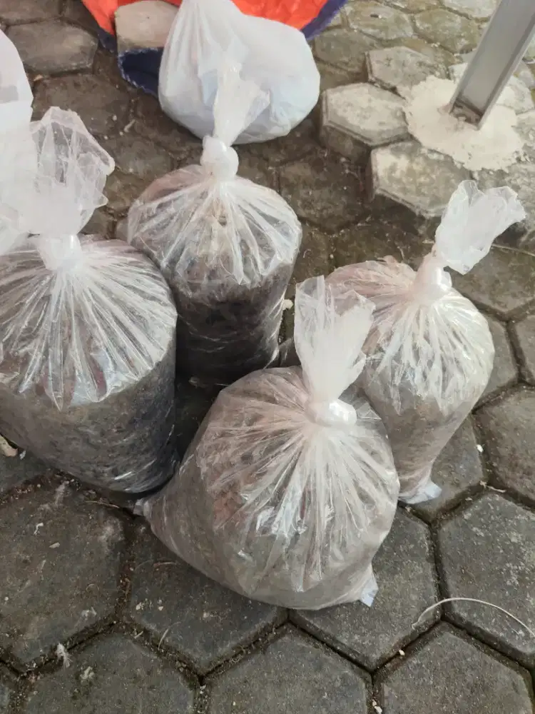 PUPUK KANDANG (AYAM)