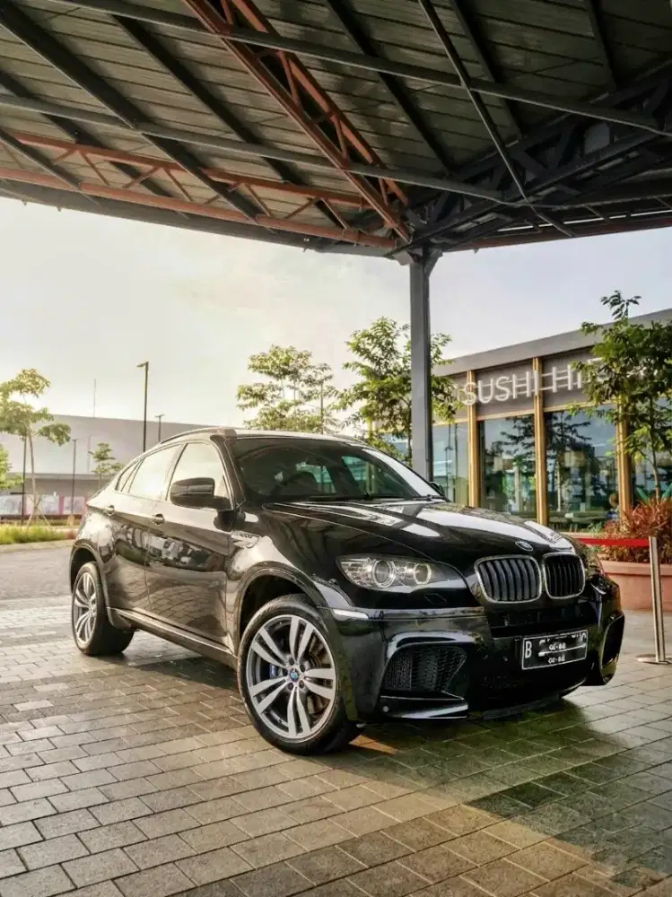 BMW X6 ///M E71 2010 Real M