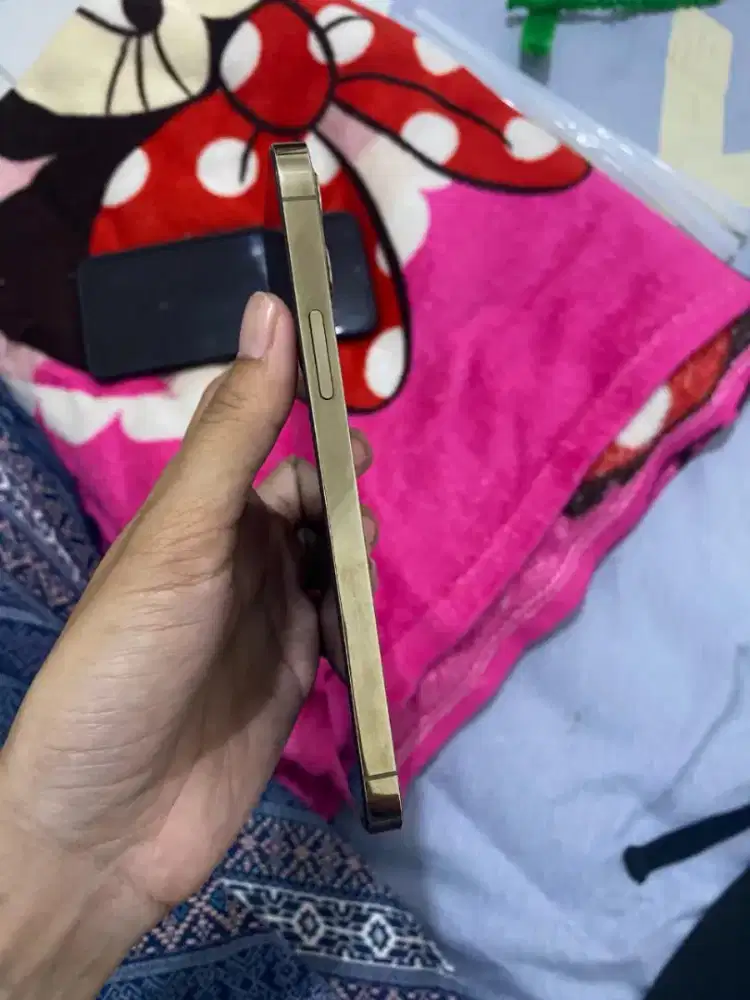 12 pro beacukai aman