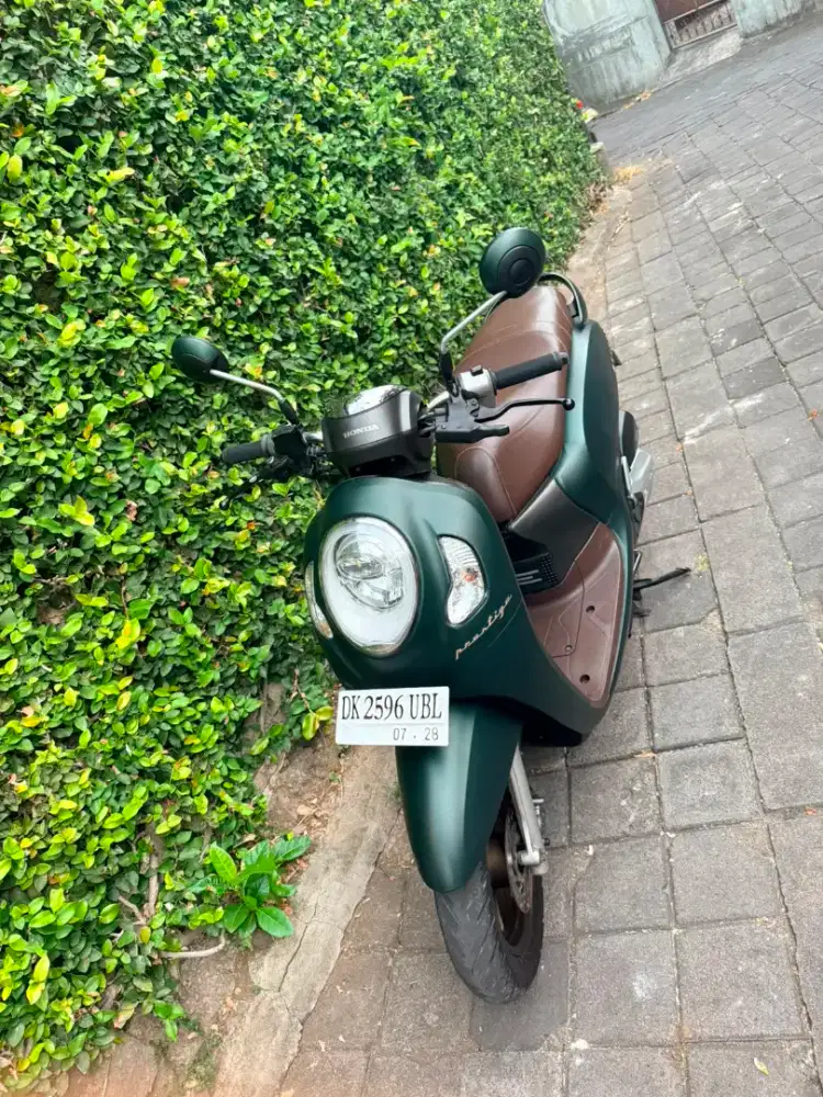 Scoopy Prestige