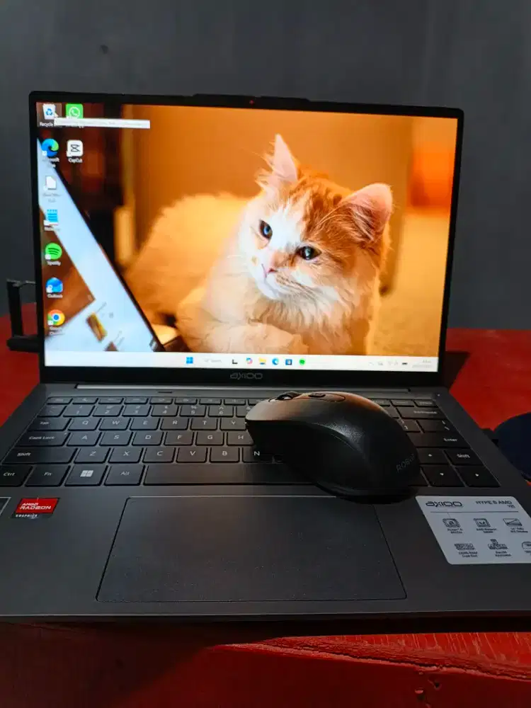 Axioo Hype 5 AMD X6