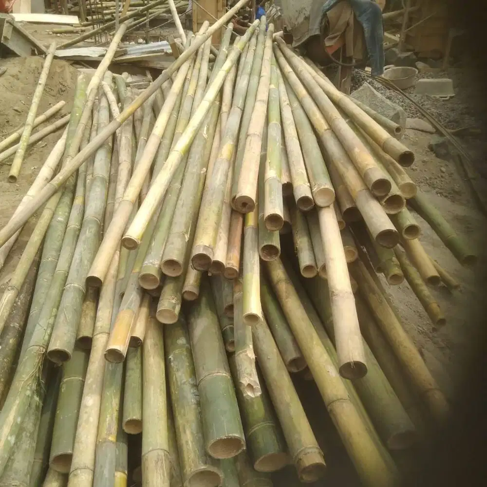 Bambu apus murah