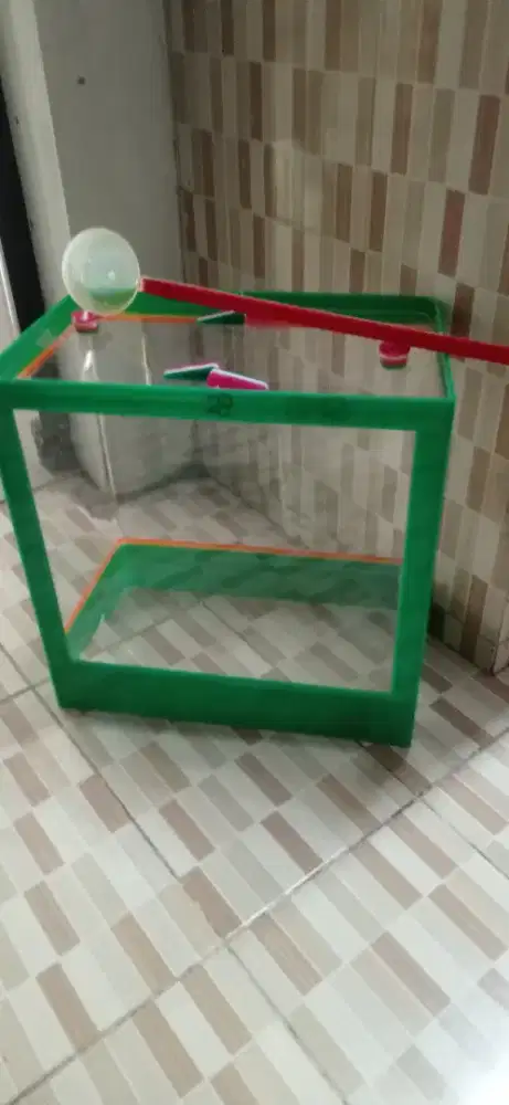 Aquarium es buah