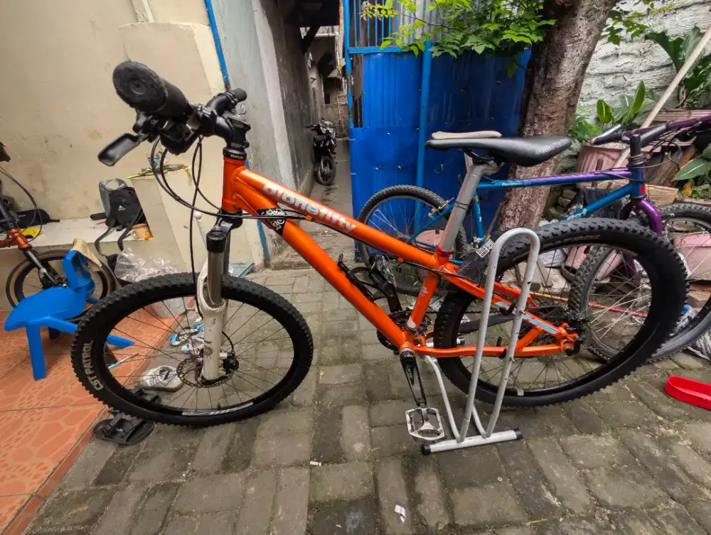 MTB DJoneFitty dirt jump