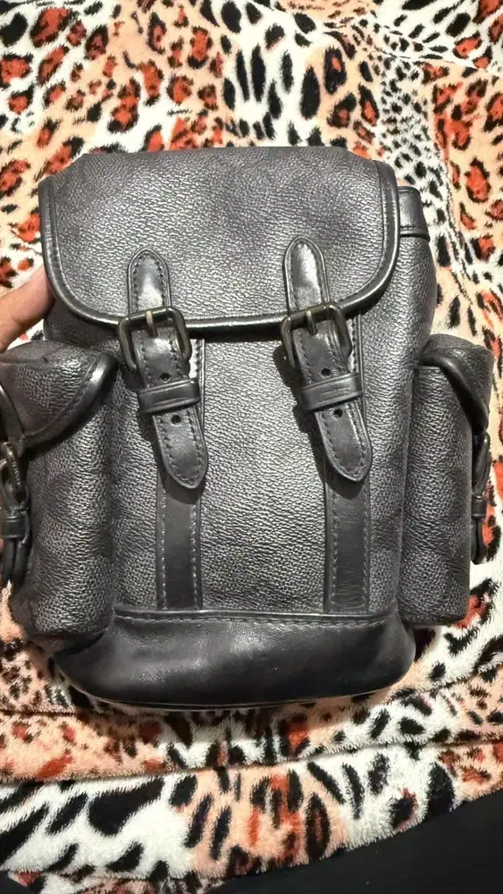 coach bag original