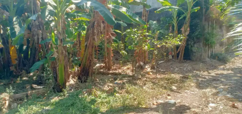 Tanah Siap Bangun,Murah di Mojosongo Solo,Dekat SMA 8 Solo