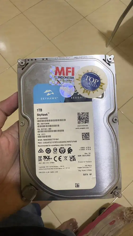 Seagate SkyHawk 1TB Original