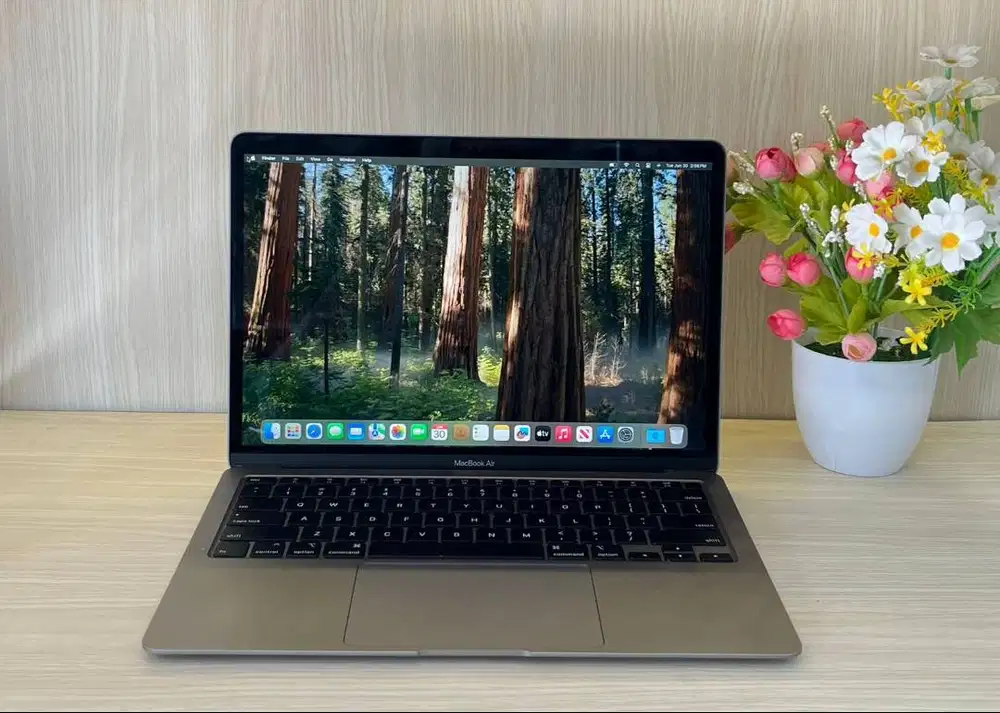 Apple MacBook Air 2020 [A2179] Intel Core I3 Ram 8GB SSD 256GB