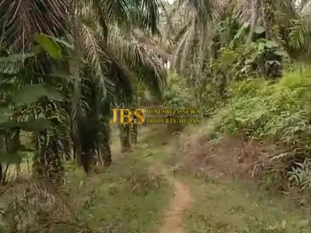 Jual Tanah Kosong di Desa Bohorok - Daerah Langkat