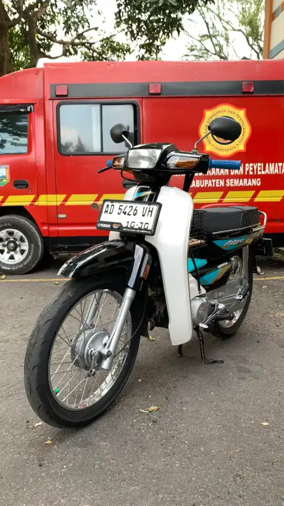 Astrea grand convert bulus