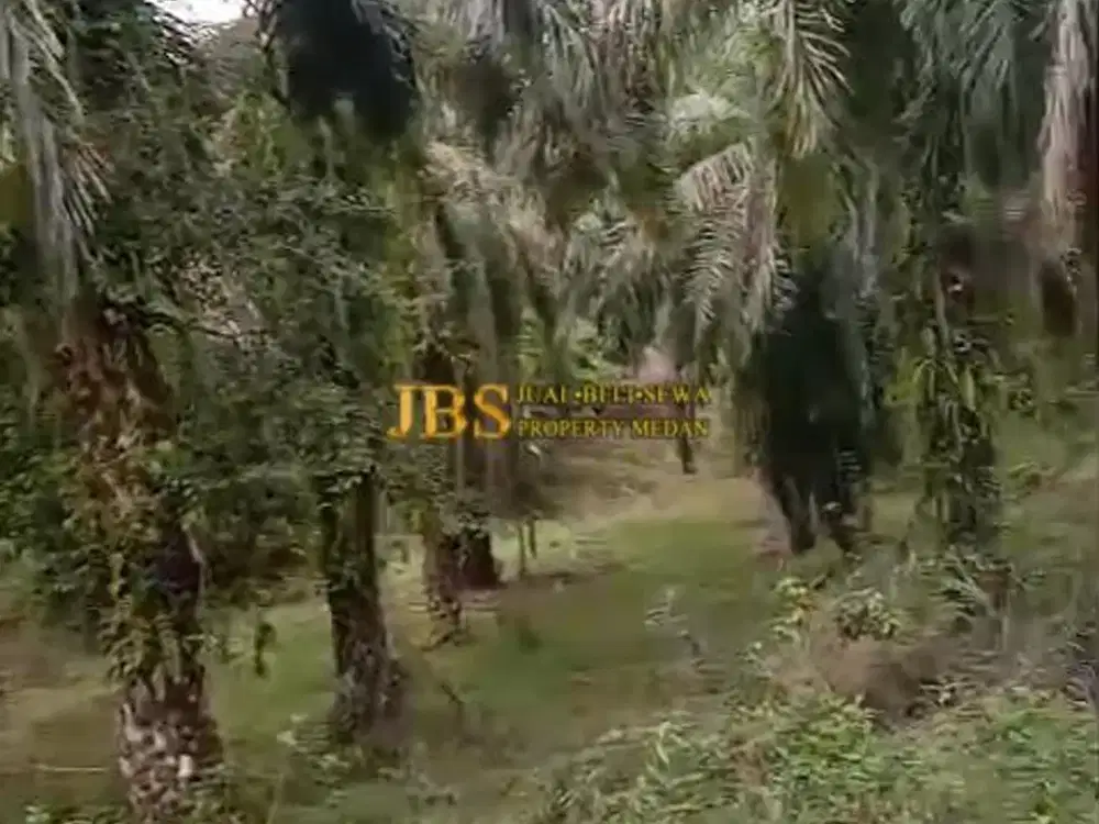 Dijual Tanah Kosong di Desa Bohorok - Daerah Langkat