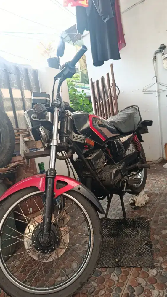 King Kobra garis merah Y1