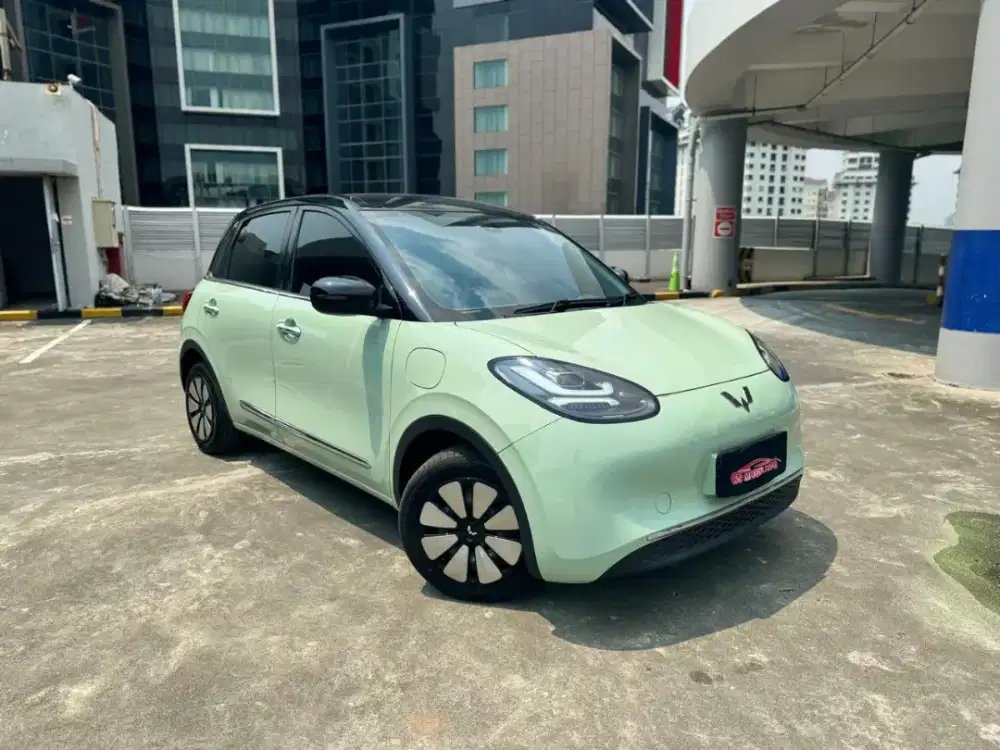 Wuling Binguo Premium Range EV AT 2024 Automatic