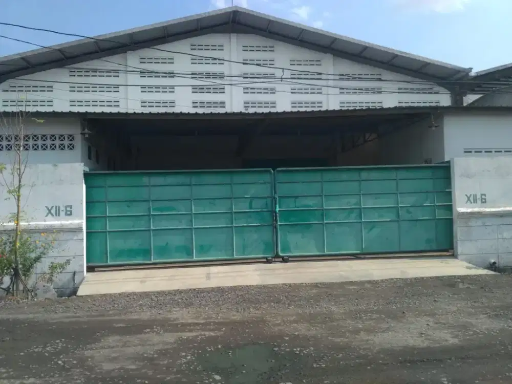 Disewakan gudang siap pakai Terboyo Semarang 11600